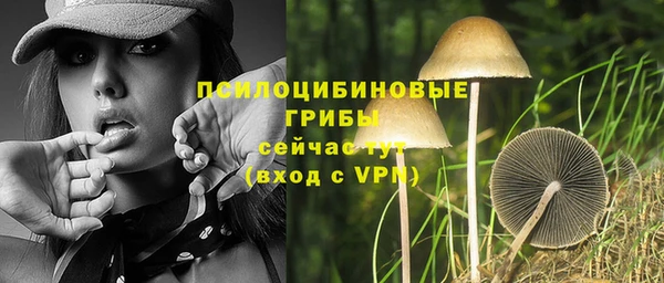 соль курить ск Волосово