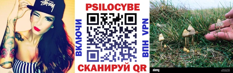Галлюциногенные грибы мухоморы  Купить закладки  Чусовой 